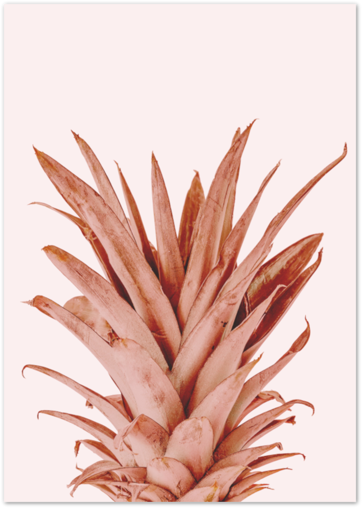 Posterux© | Pink Botanical Pineapple Poster - Tropical Wall Art Print