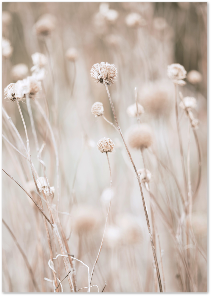 Posterux© | Soft Floral Grass Poster - Warm Beige Nature Print