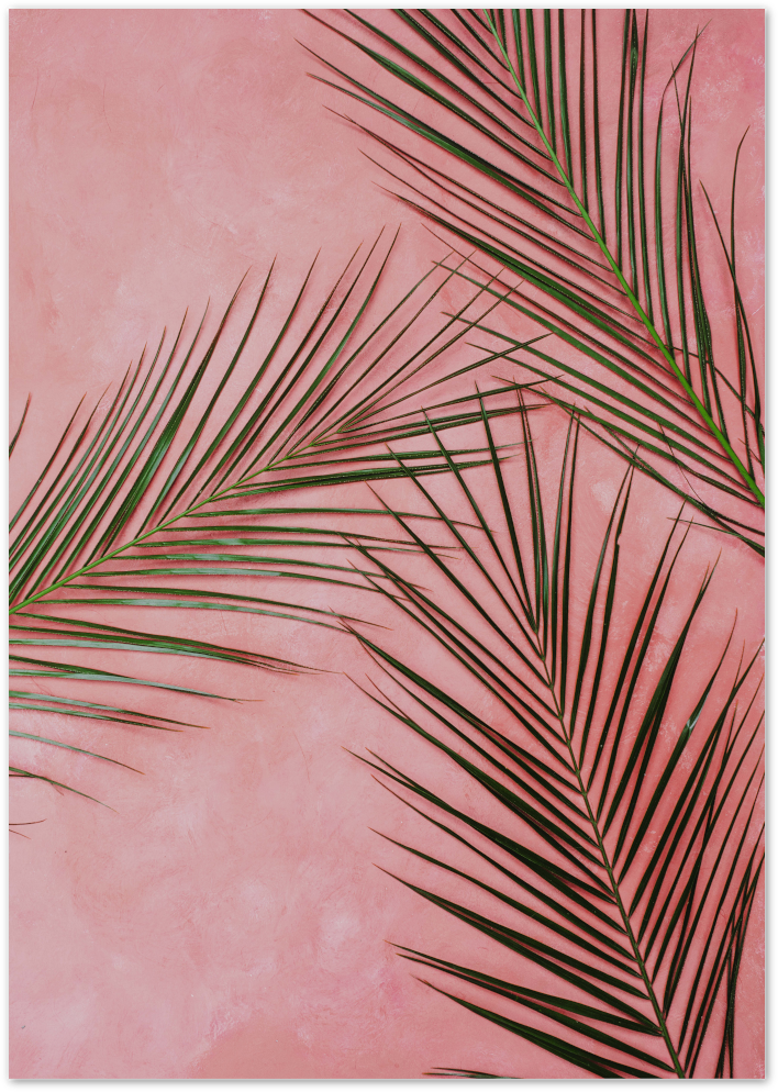 Posterux© | Pink Palm Leaves Poster - Tropical Nature Wall Print