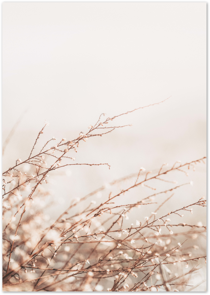 Posterux© | Wind & Grass Poster - Soft Beige Nature Print