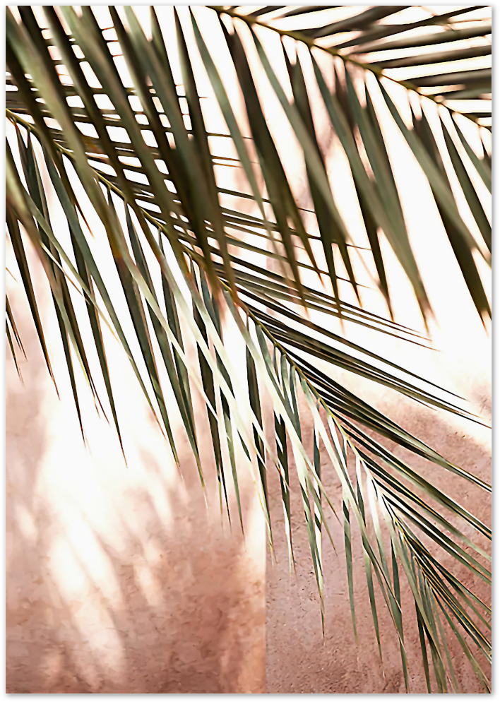 Posterux© | Palm Leaves in Warm Light – Botanical Photography Poster