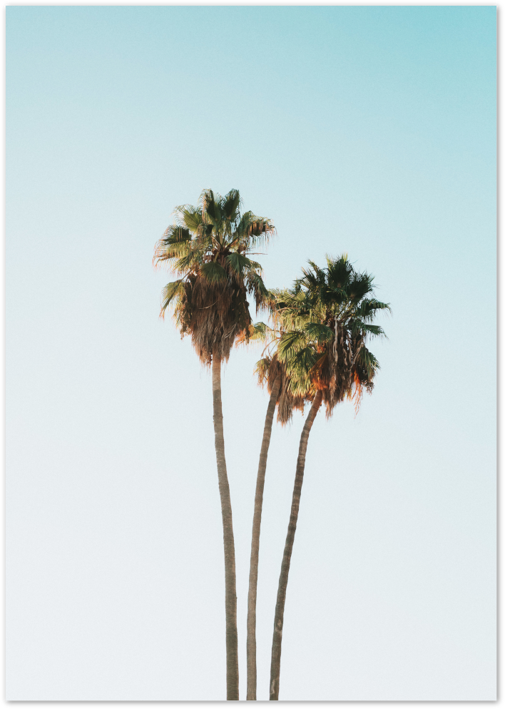 Posterux© | Twin Palm Trees – Coastal Minimalist Photography Poster