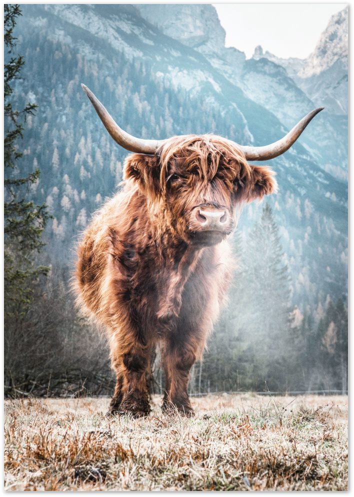 Posterux© | Highland Majesty – Scottish Highland Cow Poster