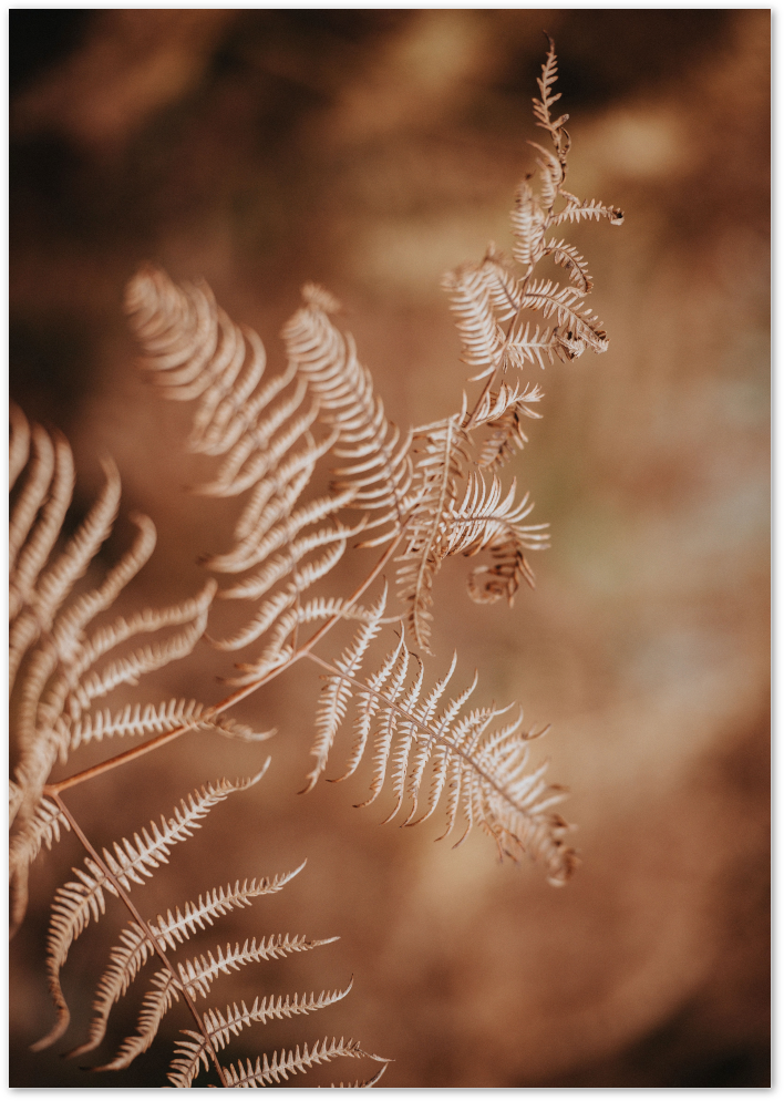 Posterux© | Rustic Fern – Warm Botanical Poster