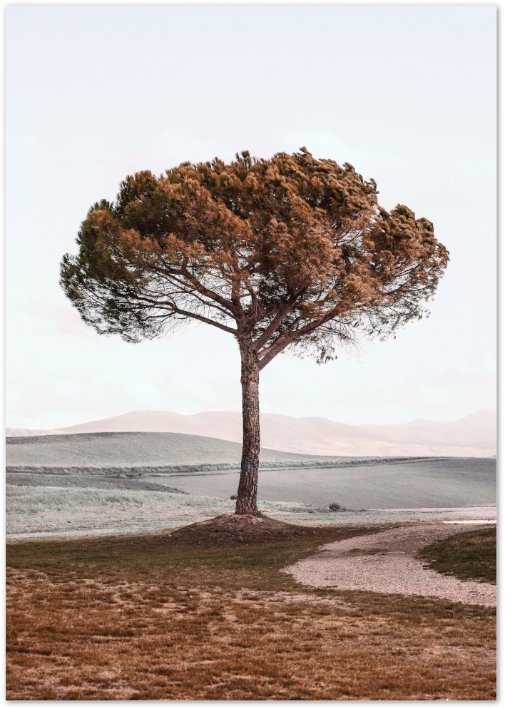 Posterux© | Solitary Tree – Serene Nature Poster