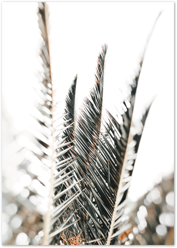 Posterux© | Palm Leaves – Minimalist Tropical Poster
