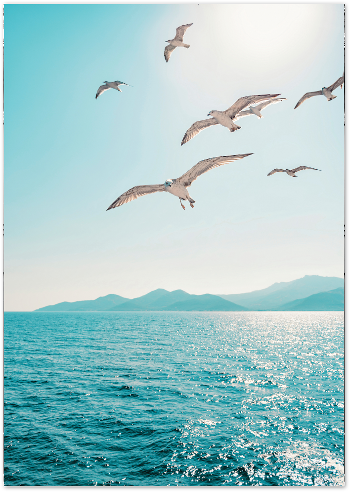 Posterux© | Seagulls Over the Ocean – Nature Photography Poster