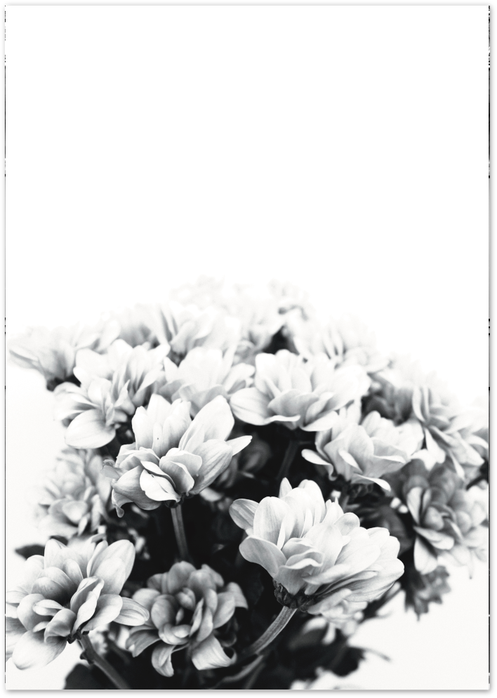 Posterux© | Black & White Floral – Minimalist Nature Poster