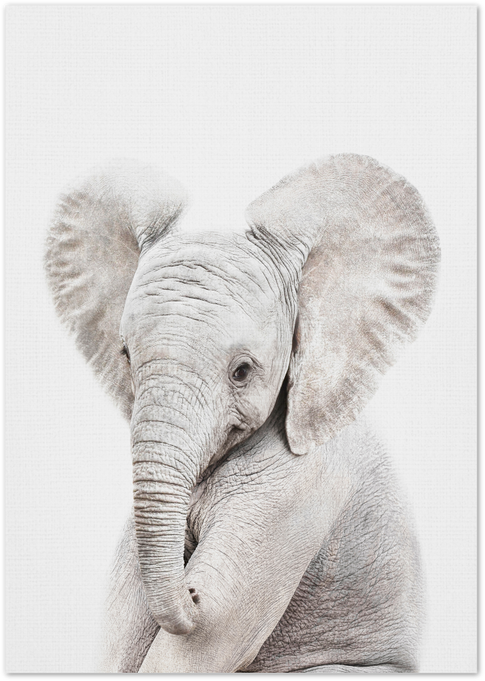 Posterux© | Baby Elephant – Minimalist Animal Poster