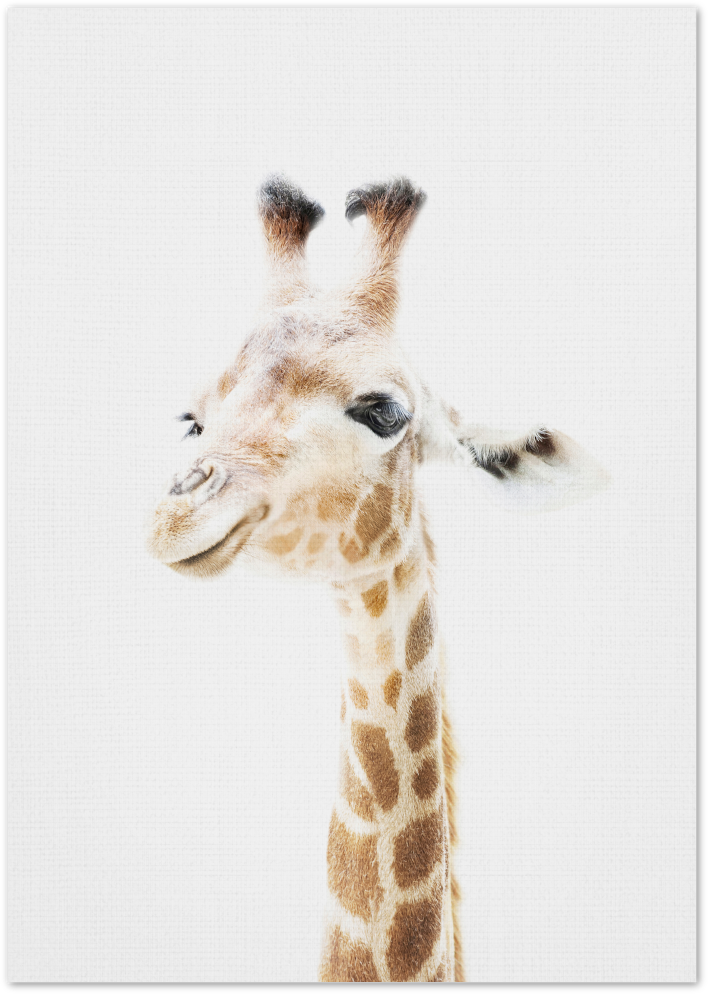 Posterux© | Baby Giraffe – Minimalist Animal Poster