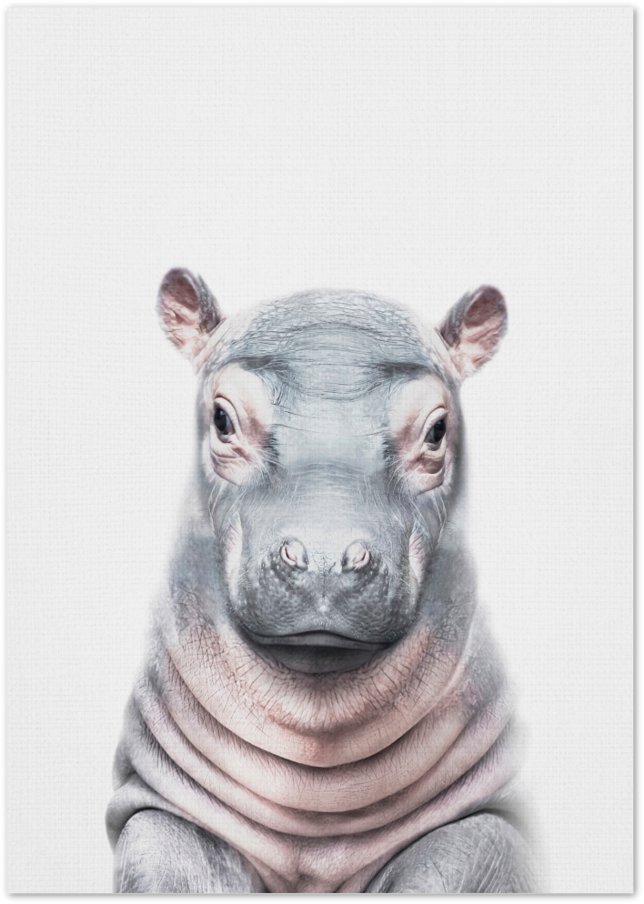 Posterux© | Baby Hippo – Whimsical Animal Poster