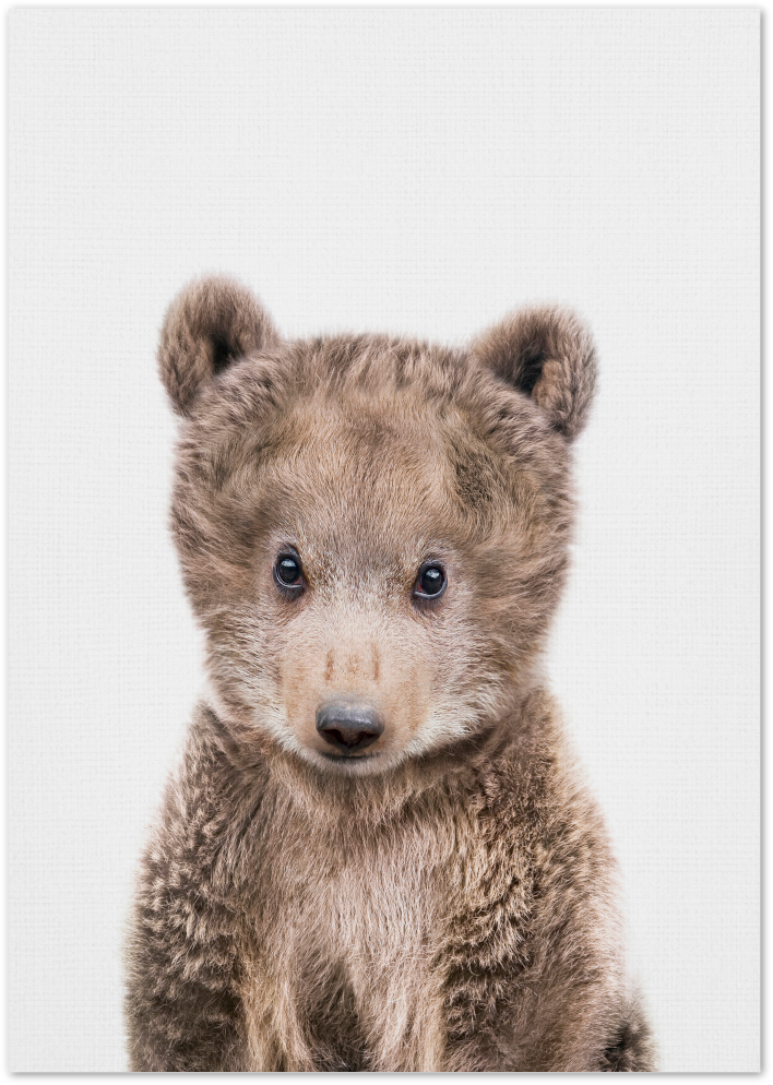 Posterux© | Baby Bear – Cozy Animal Poster