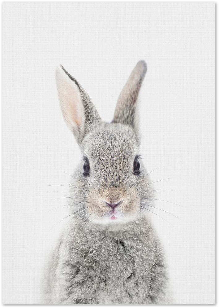 Posterux© | Baby Rabbit – Soft & Minimalist Poster