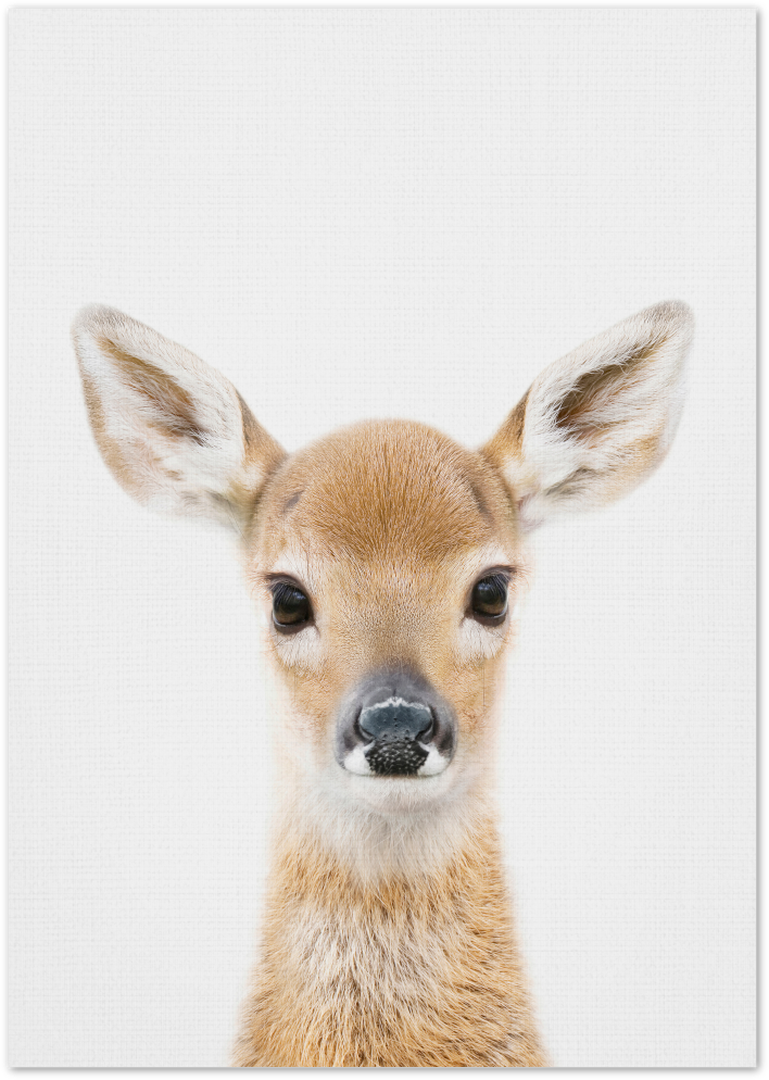 Posterux© | Baby Deer – Gentle Wildlife Poster
