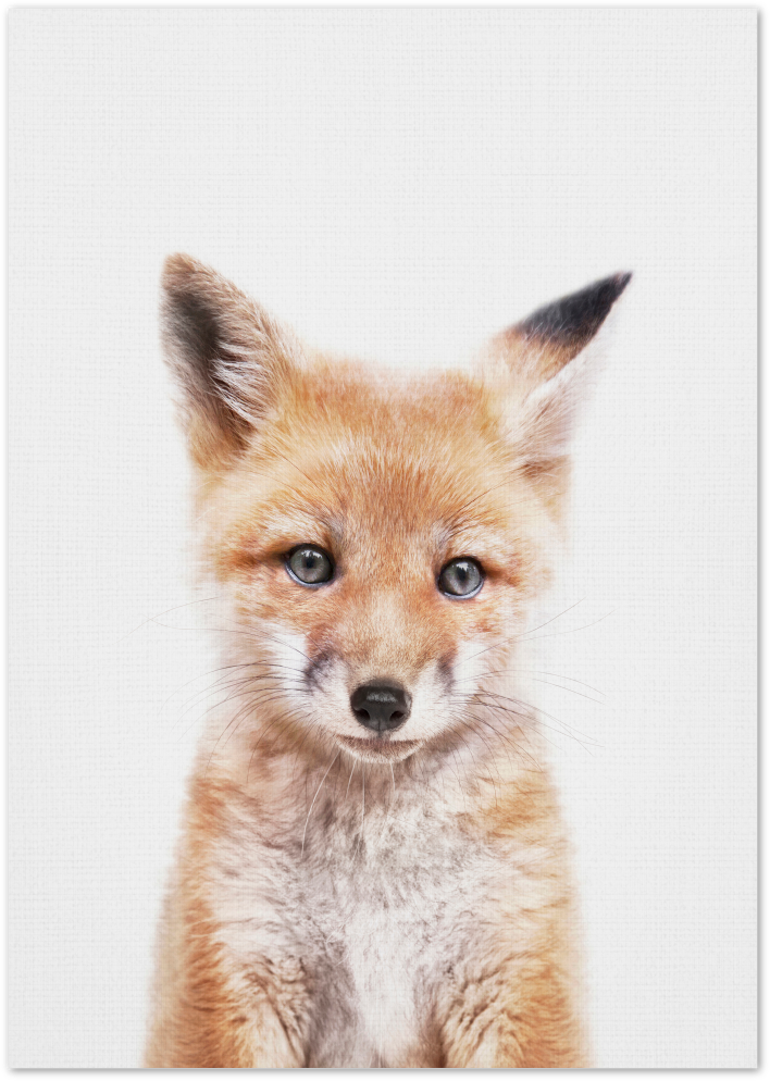 Posterux© | Baby Fox – Whimsical Forest Animal Poster