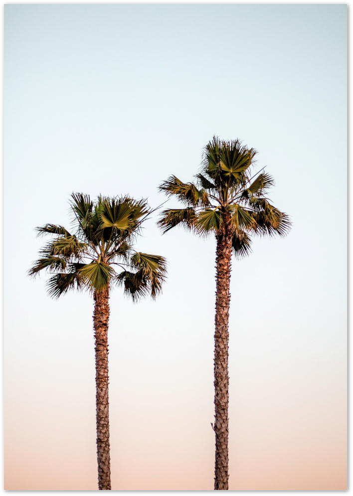 Posterux© | Palm Trees at Sunset Poster – Relaxing Tropical Art