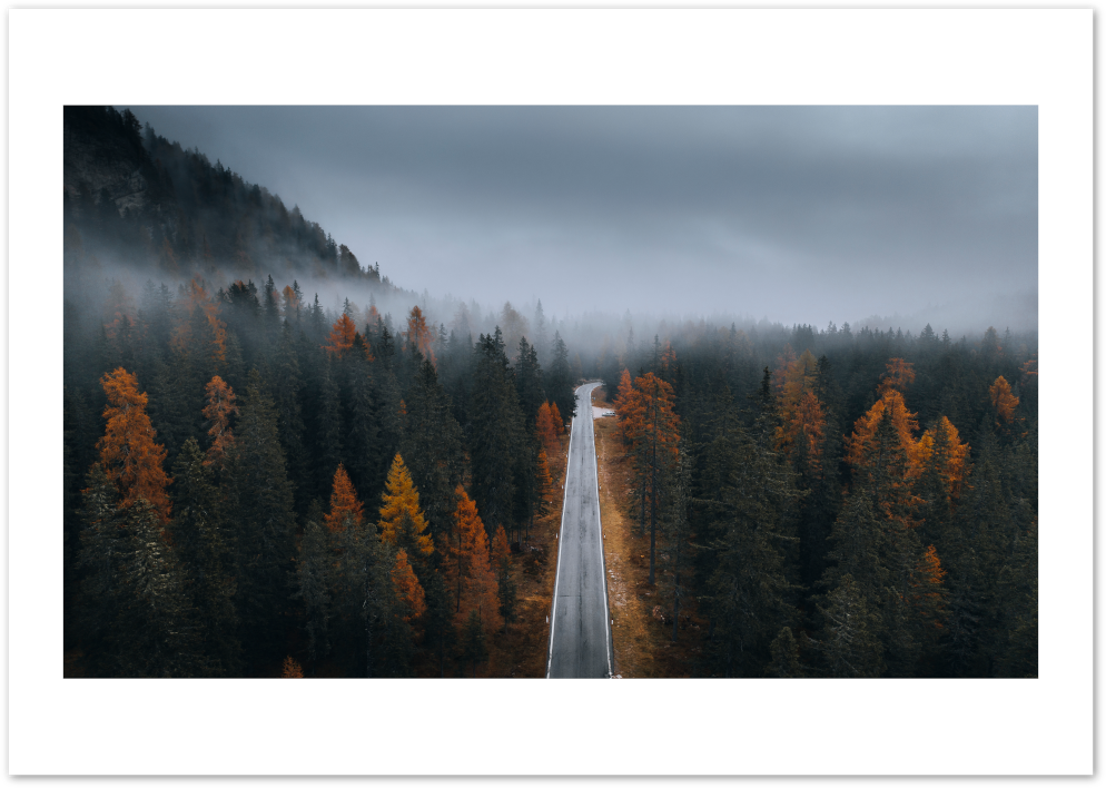 Posterux© | Autumn Forest Road Poster – Moody Landscape Photography