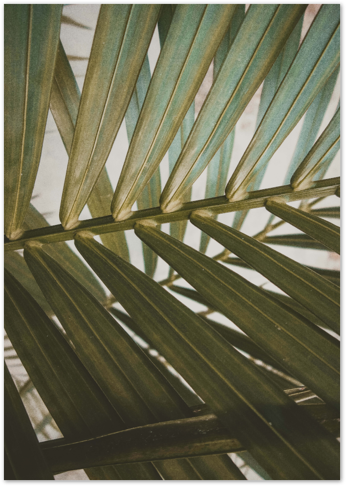 Posterux© | Tropical Leaf Close-Up – Nature-Inspired Poster