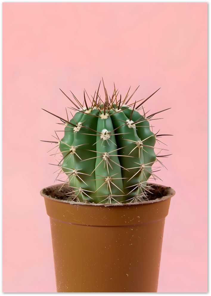 Posterux© | Cute Cactus Poster – Minimal Botanical Art on Pink