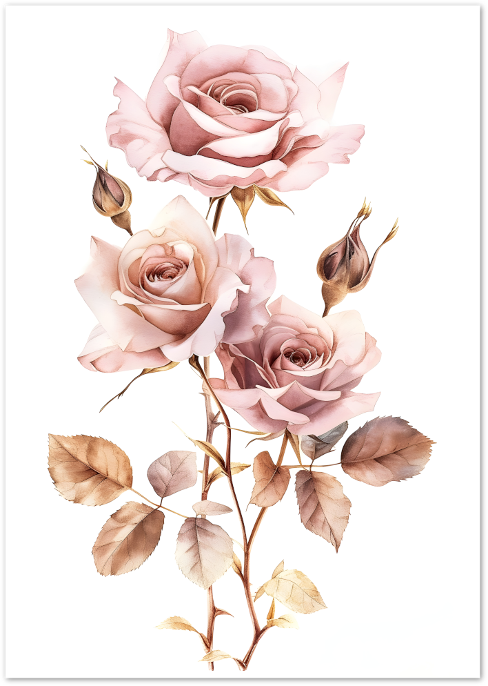 Posterux© | Blush Roses Poster – Vintage Botanical Floral Poster
