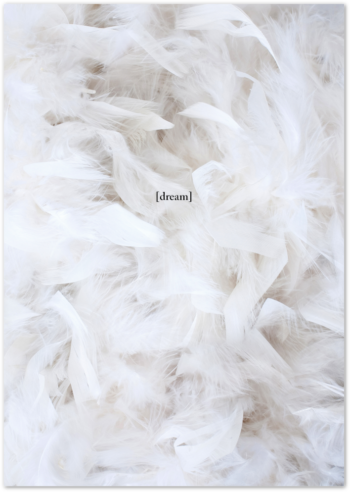 Posterux© | Dream Soft – White Feather Aesthetic Poster