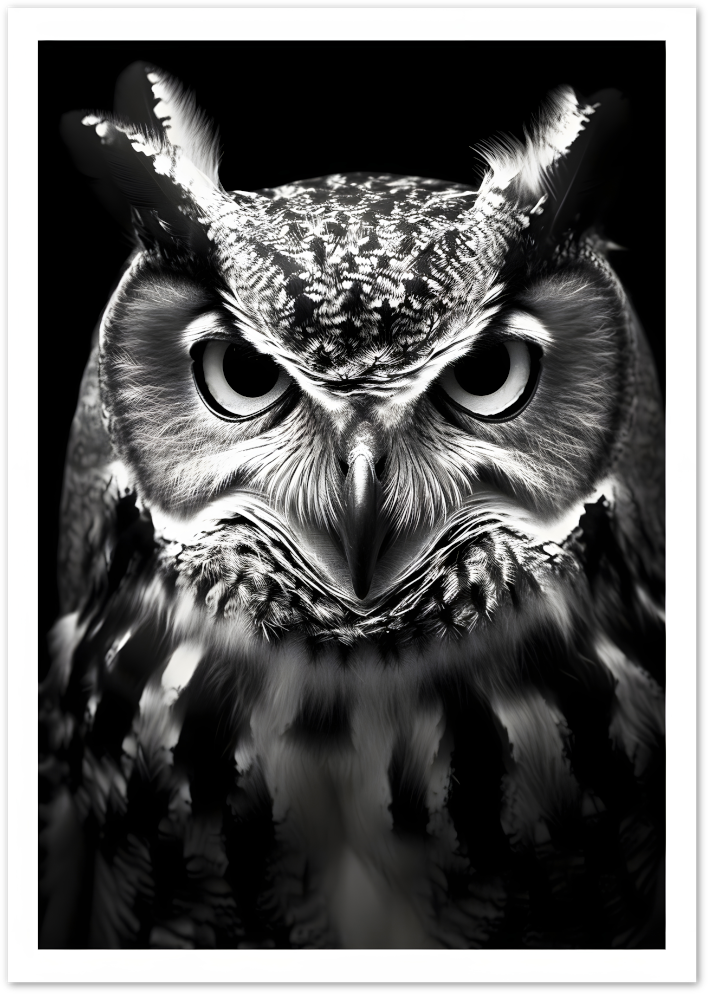 Posterux© | Staring Owl Poster – Intense Nocturnal Gaze