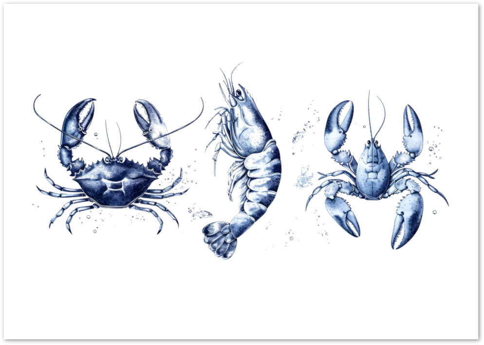 Posterux© | Blue Seafood Trio Poster – Vintage Coastal Kitchen Art
