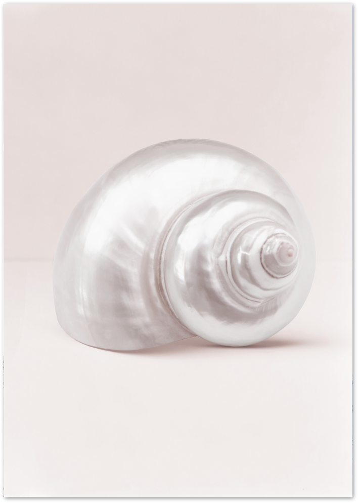 Posterux© | Nautilus Spiral – Minimalist Shell Photography Poster