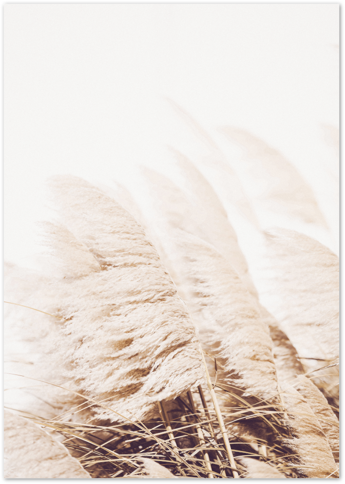 Posterux© | Golden Pampas – Warm & Earthy Nature Photography Poster