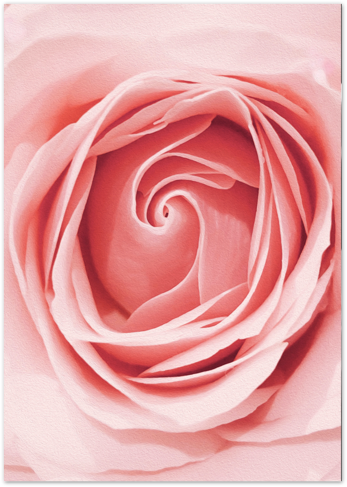 Posterux© | Soft Petals – Romantic Floral Poster