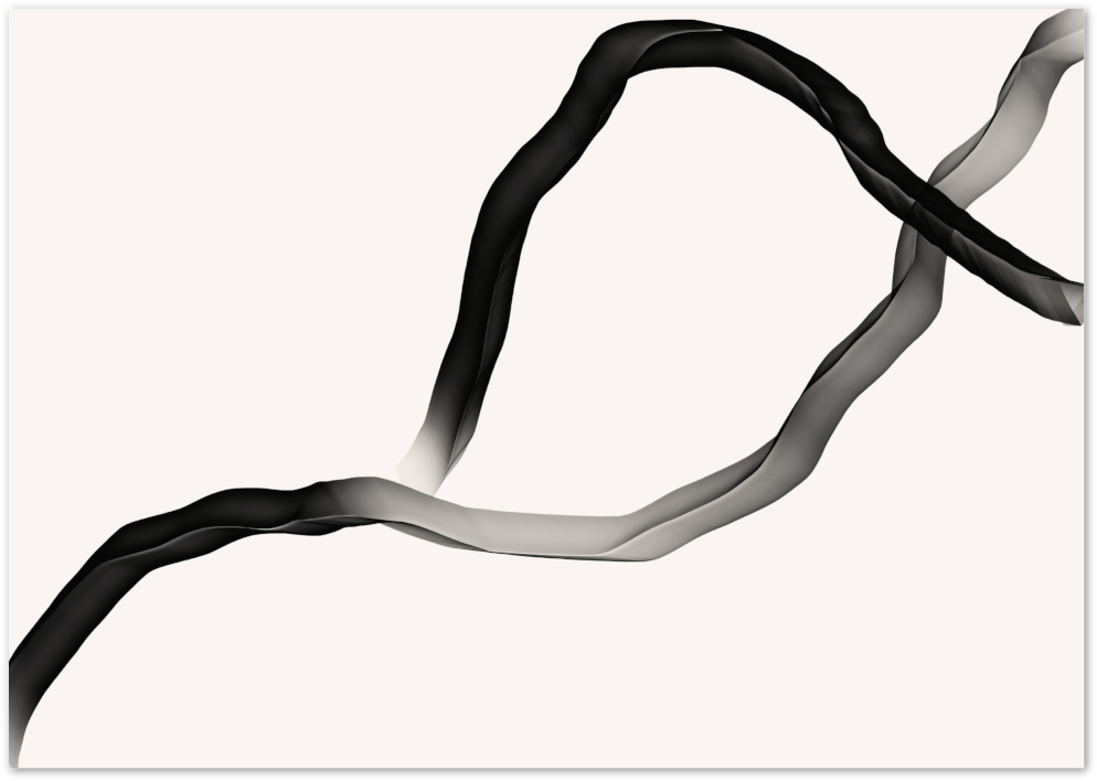 Posterux© | Fluid Ribbons Poster – Abstract Monochrome Flow